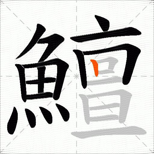 鱣