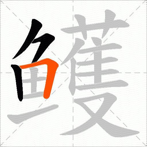 鳠