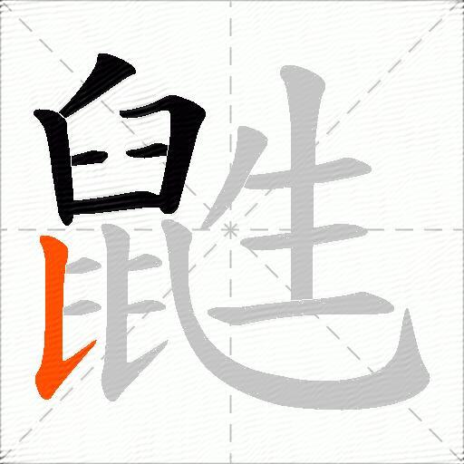 鼪