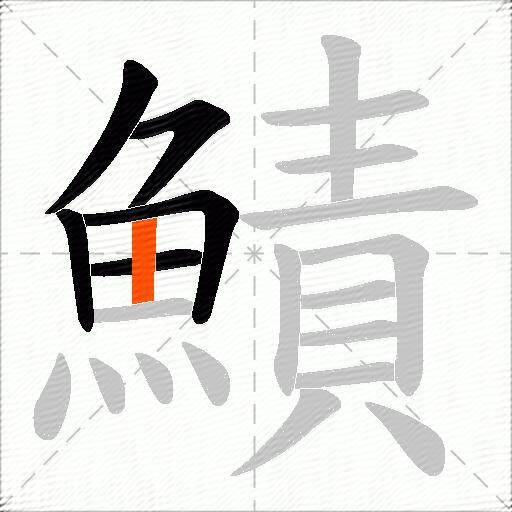 鰿