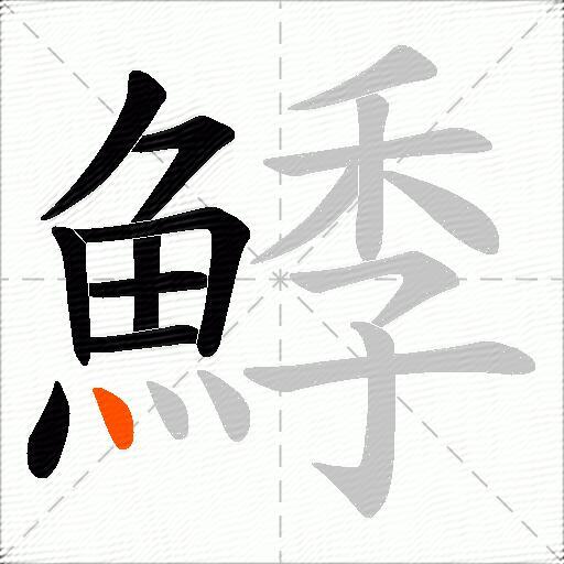 鯚