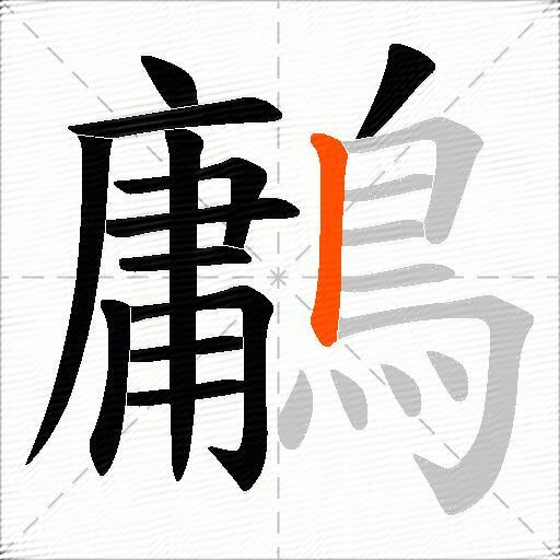 鷛