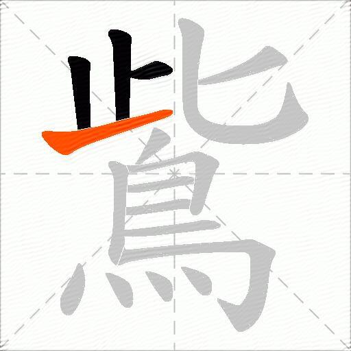 鴜