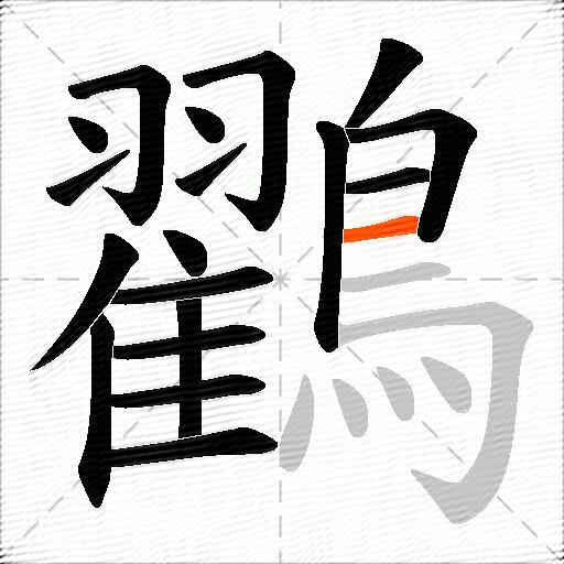 鸐
