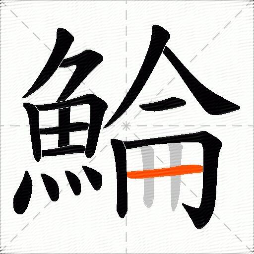鯩