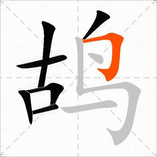 鸪