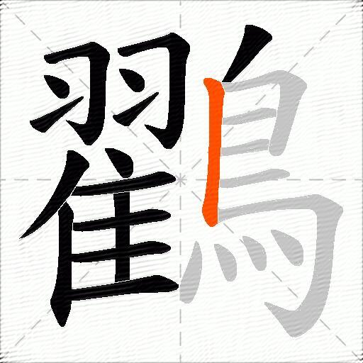 鸐