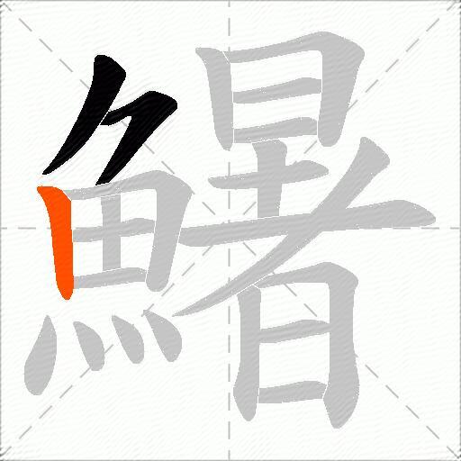 鱪