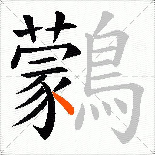 鸏