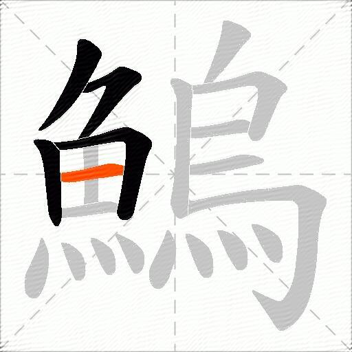 鰞