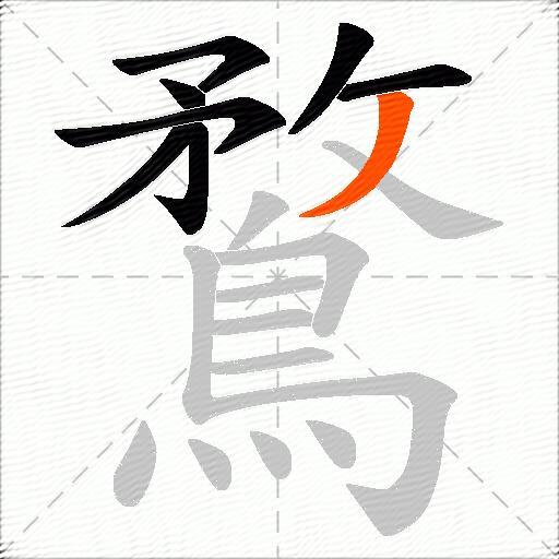 鶩