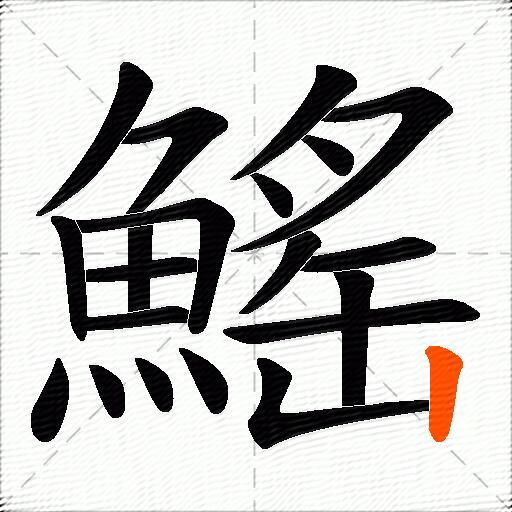 鰩