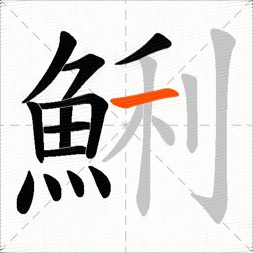 鯏