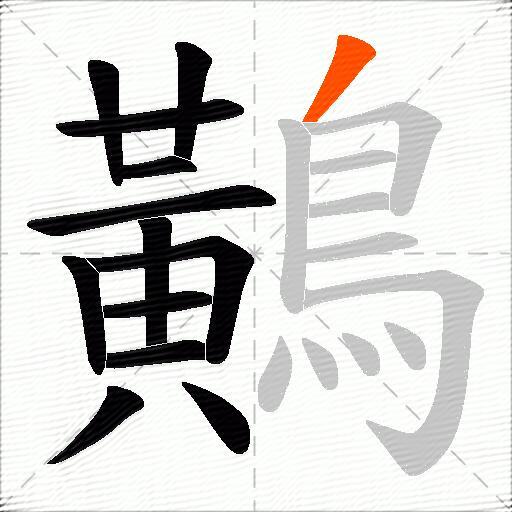 鷬