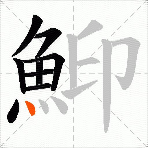鮣