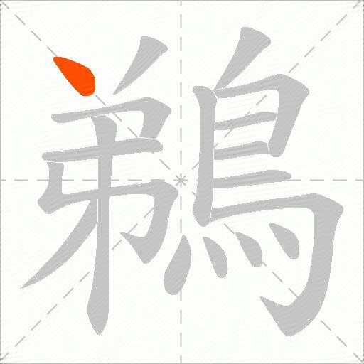 鵜