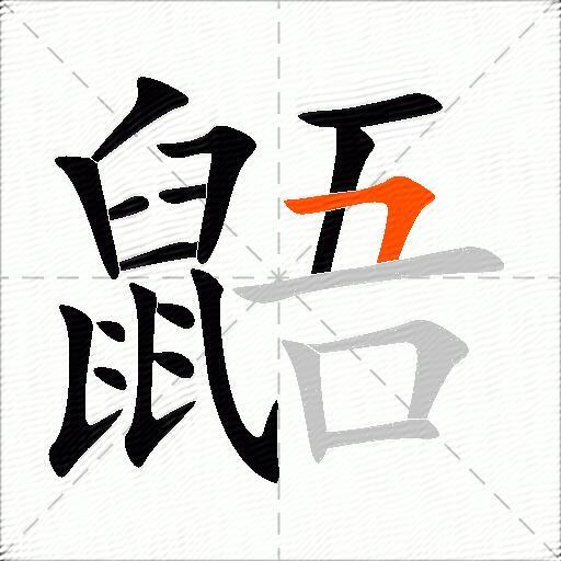 鼯