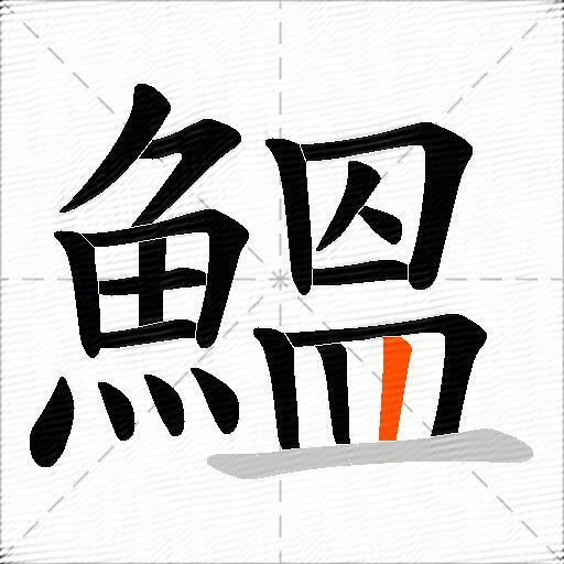 鰮