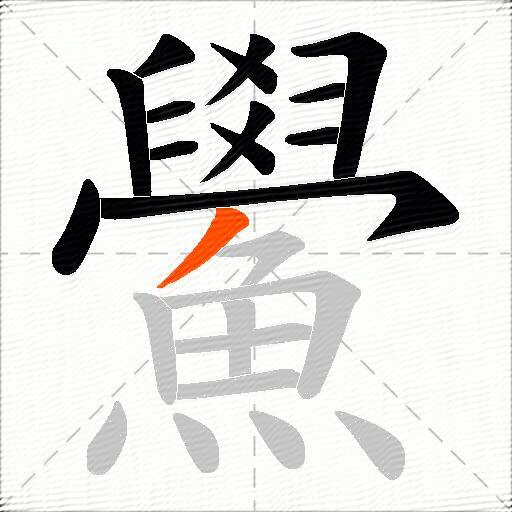 鱟
