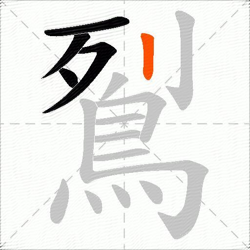 鴷