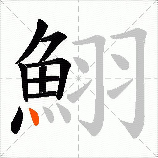 鮙