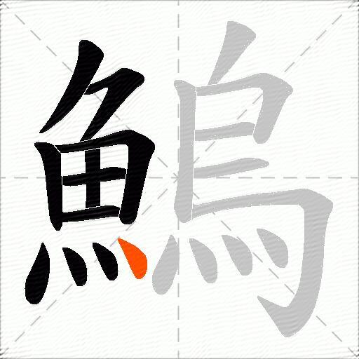 鰞