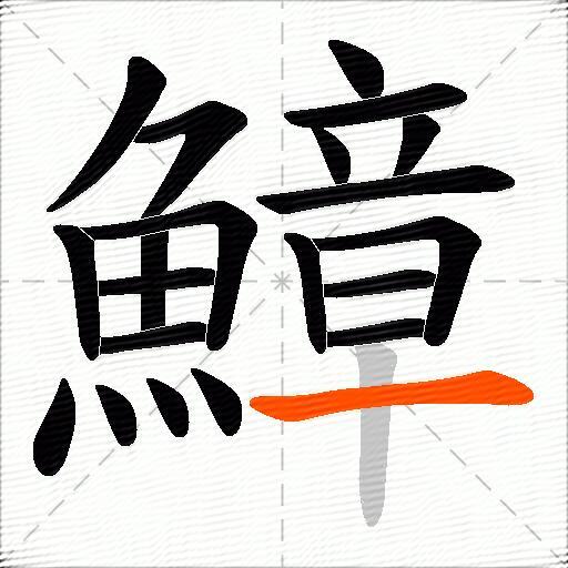 鱆