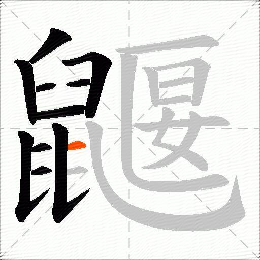 鼴