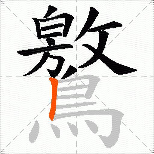 鸄