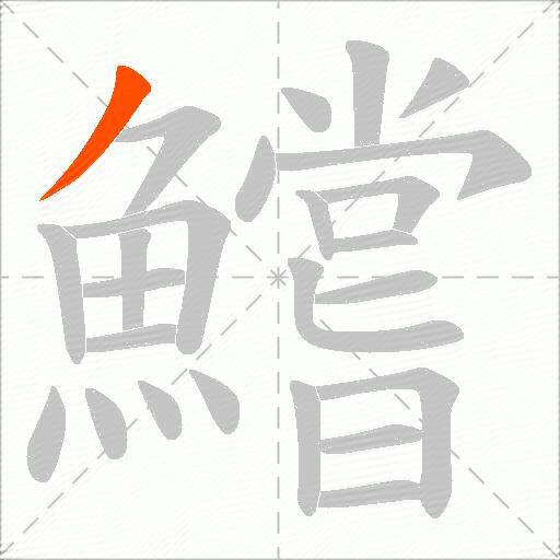 鱨