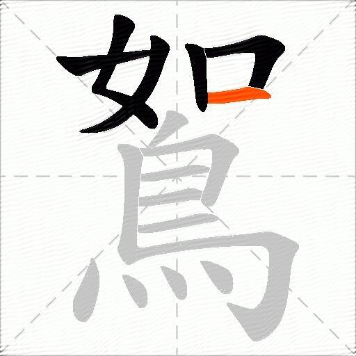 鴽
