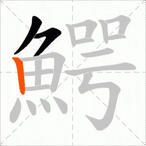 鰐