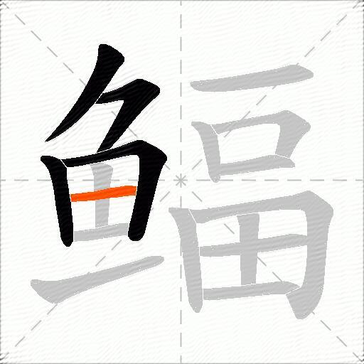 鲾