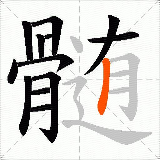 髄