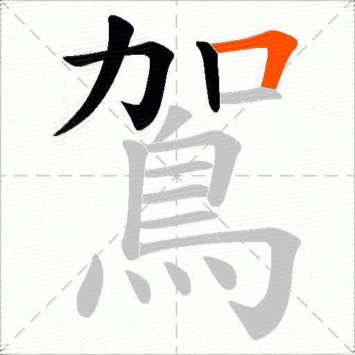 鴐