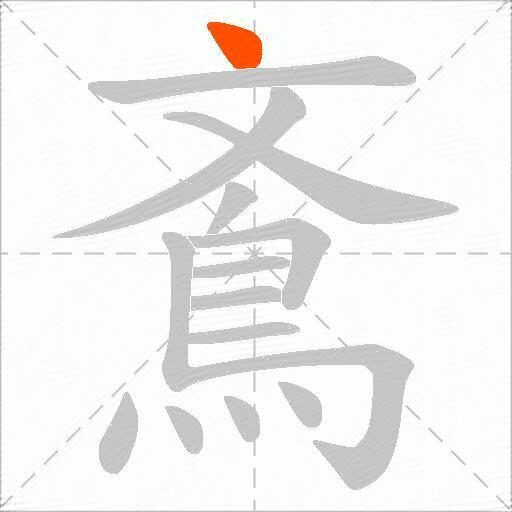 鴍