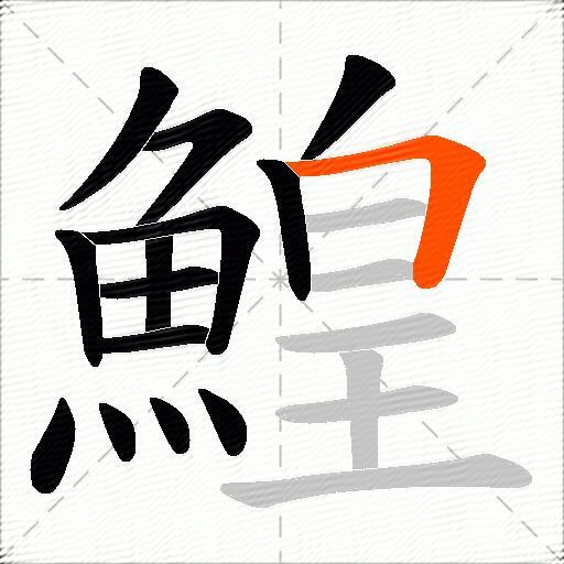鰉