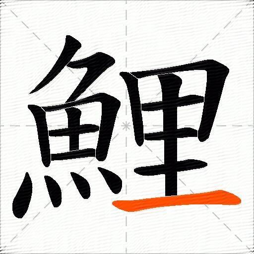 鯉