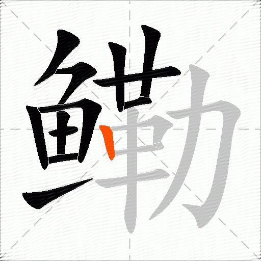 鳓