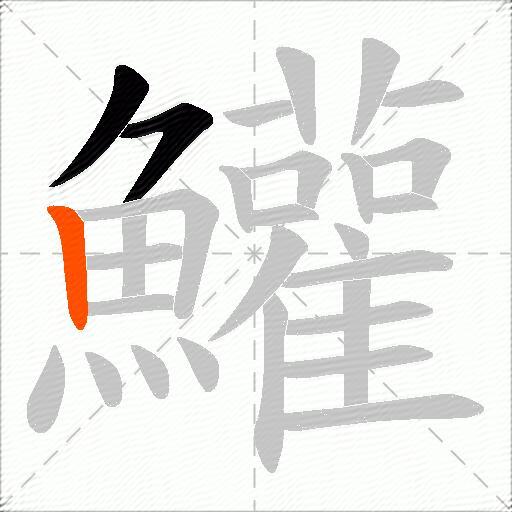鱹