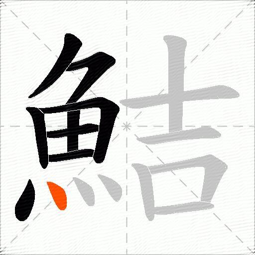 鮚