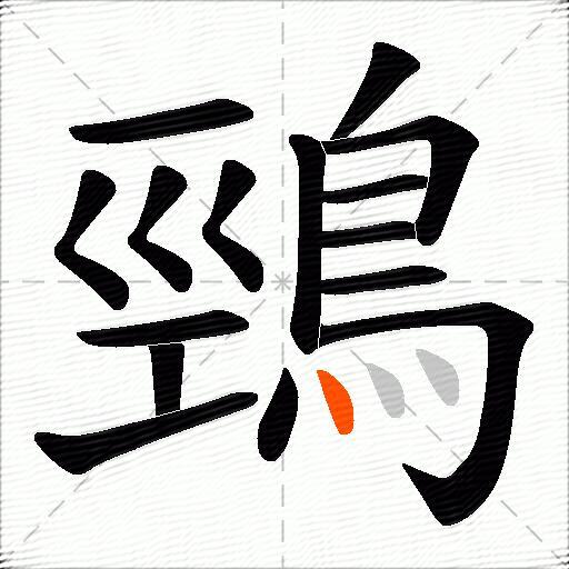鵛