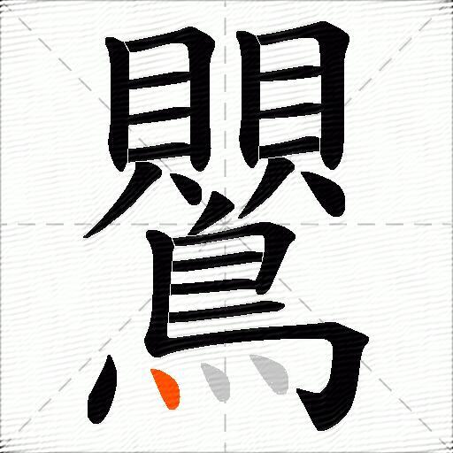 鸎