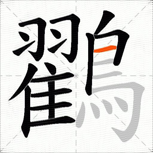 鸐