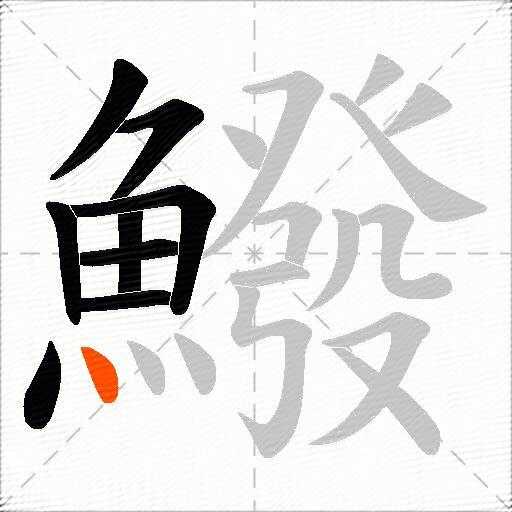 鱍