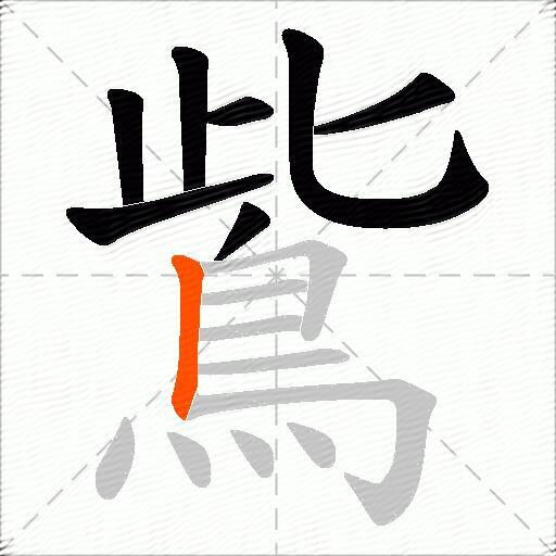 鴜