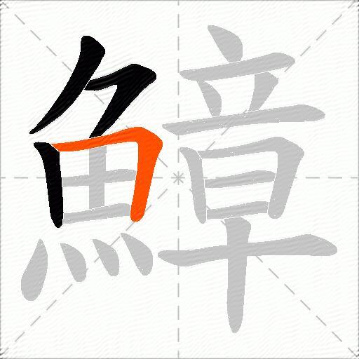 鱆