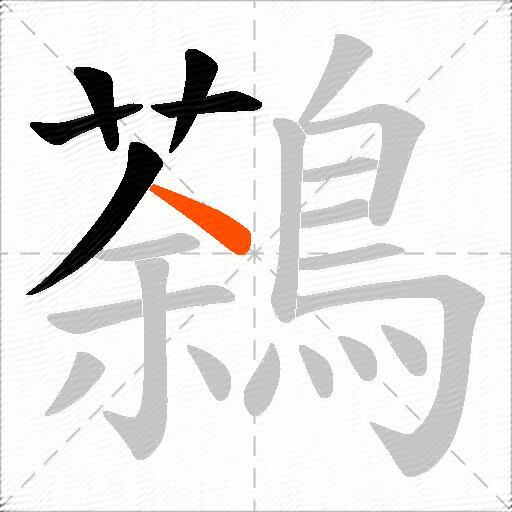 鷋