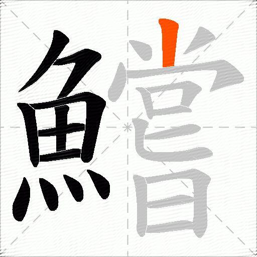 鱨
