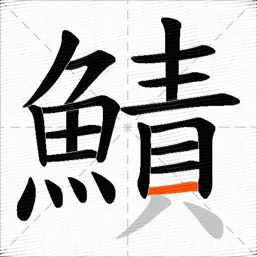 鰿